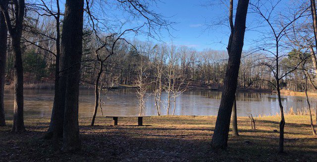 A wooden bench overlooking the chapter pond on a clear winter day